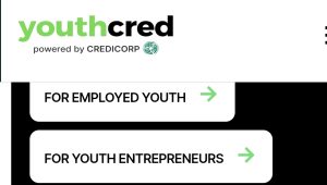 Apply for FG YouthCred Loan Scheme 2026