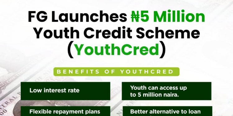 How to Apply for FG YouthCred Loan Scheme 2026: Get Up to ₦5 Million Without Collateral