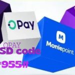 OPay, PalmPay, Kuda & Moniepoint USSD Codes for Bill Payments in Nigeria 2026/2027 – Ultimate Guide