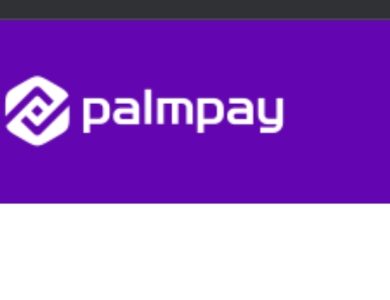 How to Apply for the 2026 PalmPay Graduate Trainee Program in Nigeria | Complete Guide & Requirements