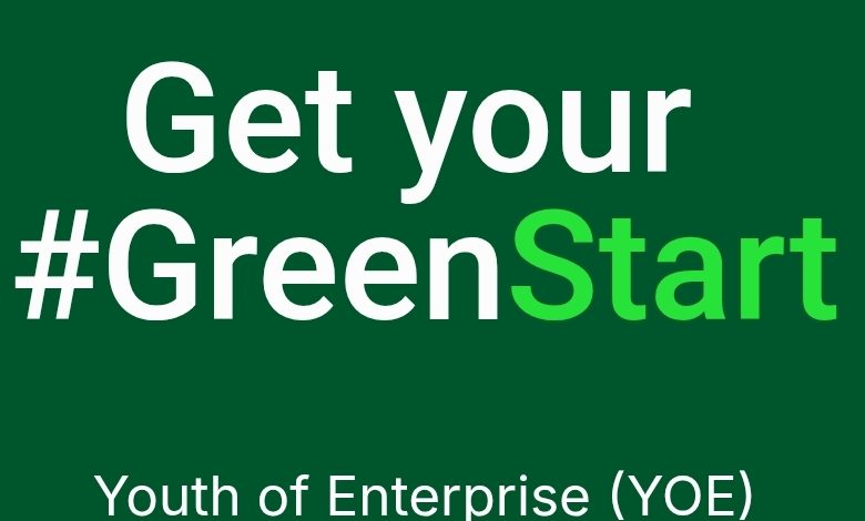 Youth of Enterprise Internship Programme 2026: Complete Application Guide & Eligibility Requirements Introduction